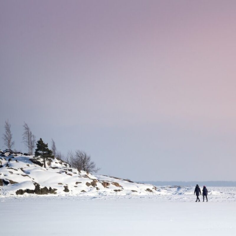 vinter promenad