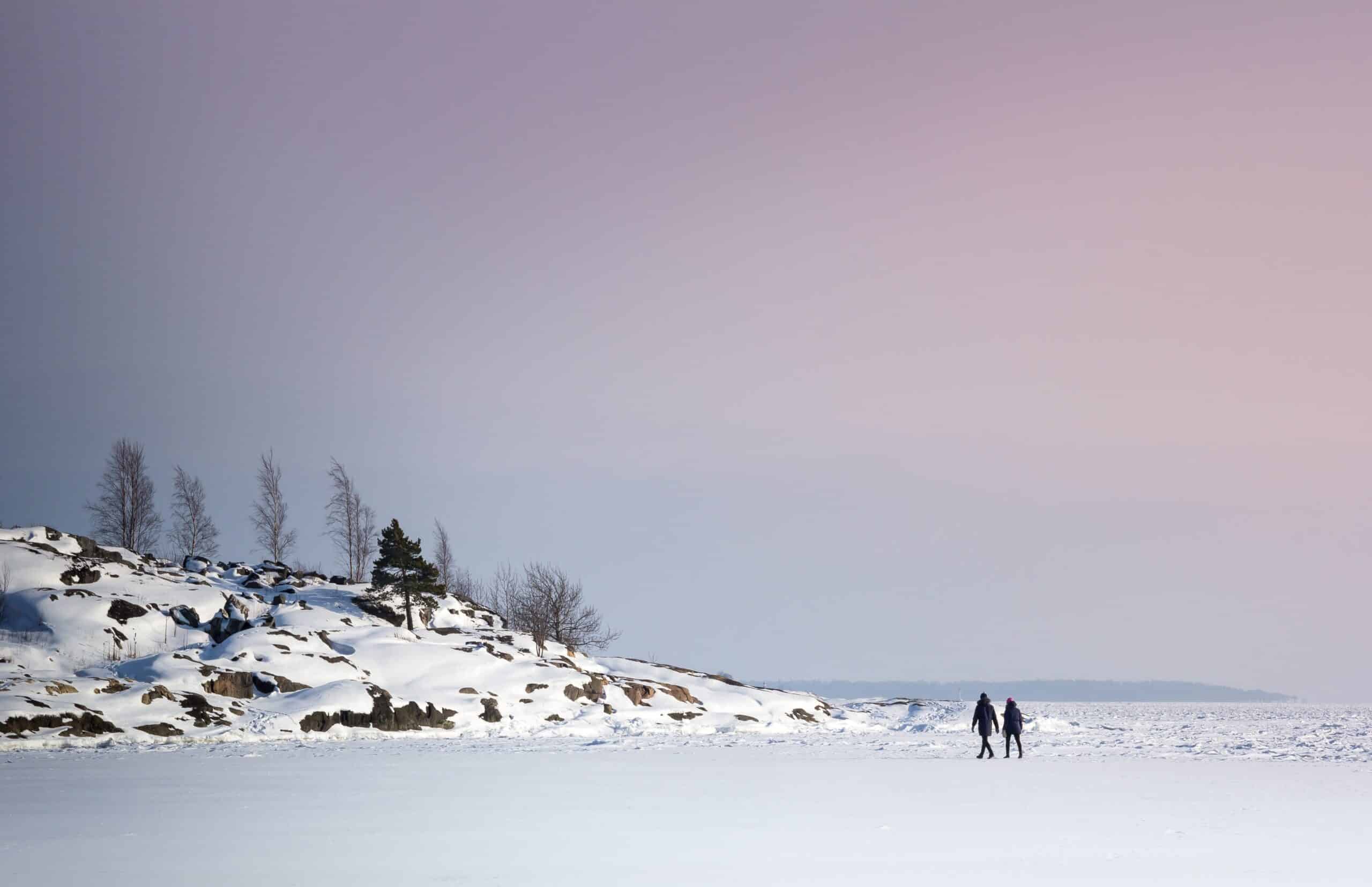 vinter promenad